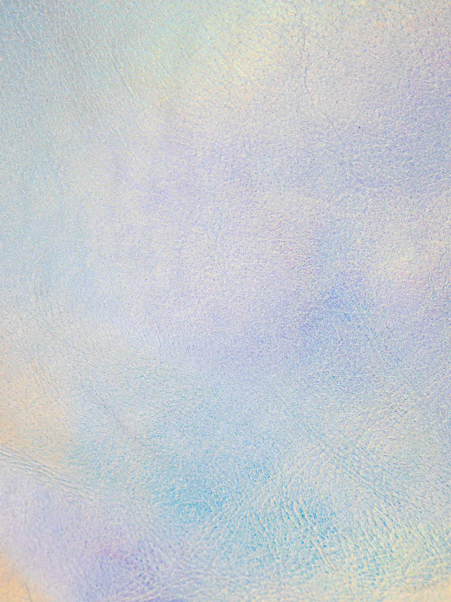 gürteltasche-labanane-givre-holographique-schwarz-ansicht-zoom-material-m503-giv