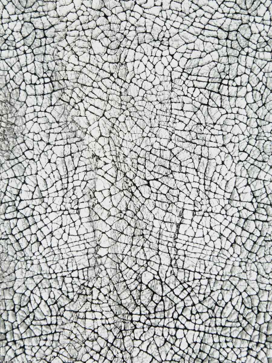 Geldbörse-Legustave-Miroir-Silber-Ansicht-Zoom-Material-CLP-MIR