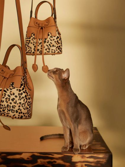 Capucine XS Leopard – Beige
