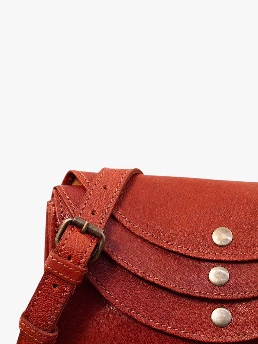 Foto-Seitenansicht-Umhängetasche-Leder-Damen-braun-Laminaudiere-Brun-Paul-Marius-M301-MB