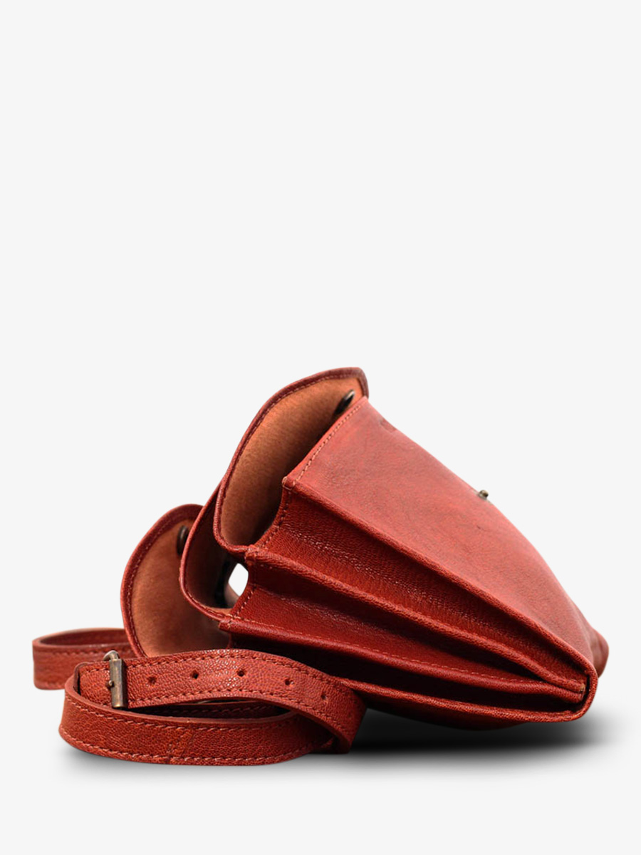 Foto-Innenansicht-Umhängetasche-Leder-Damen-braun-Laminaudiere-Brun-Paul-Marius-M301-MB