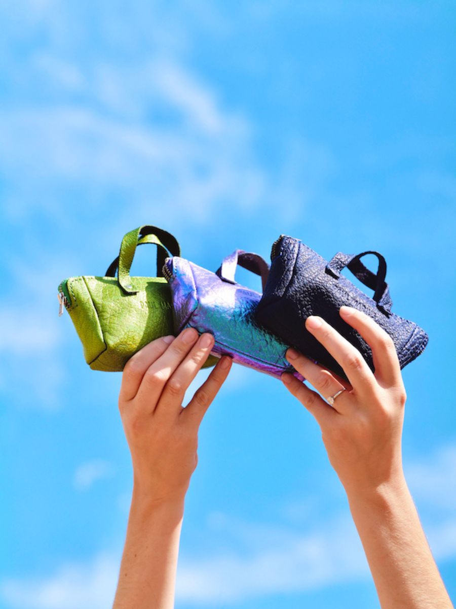 Foto-Tragegeldbörse-Leder-rosa-golden-monpremier-paul-marius-gold-rosa-paul-marius-bbw-g-pi