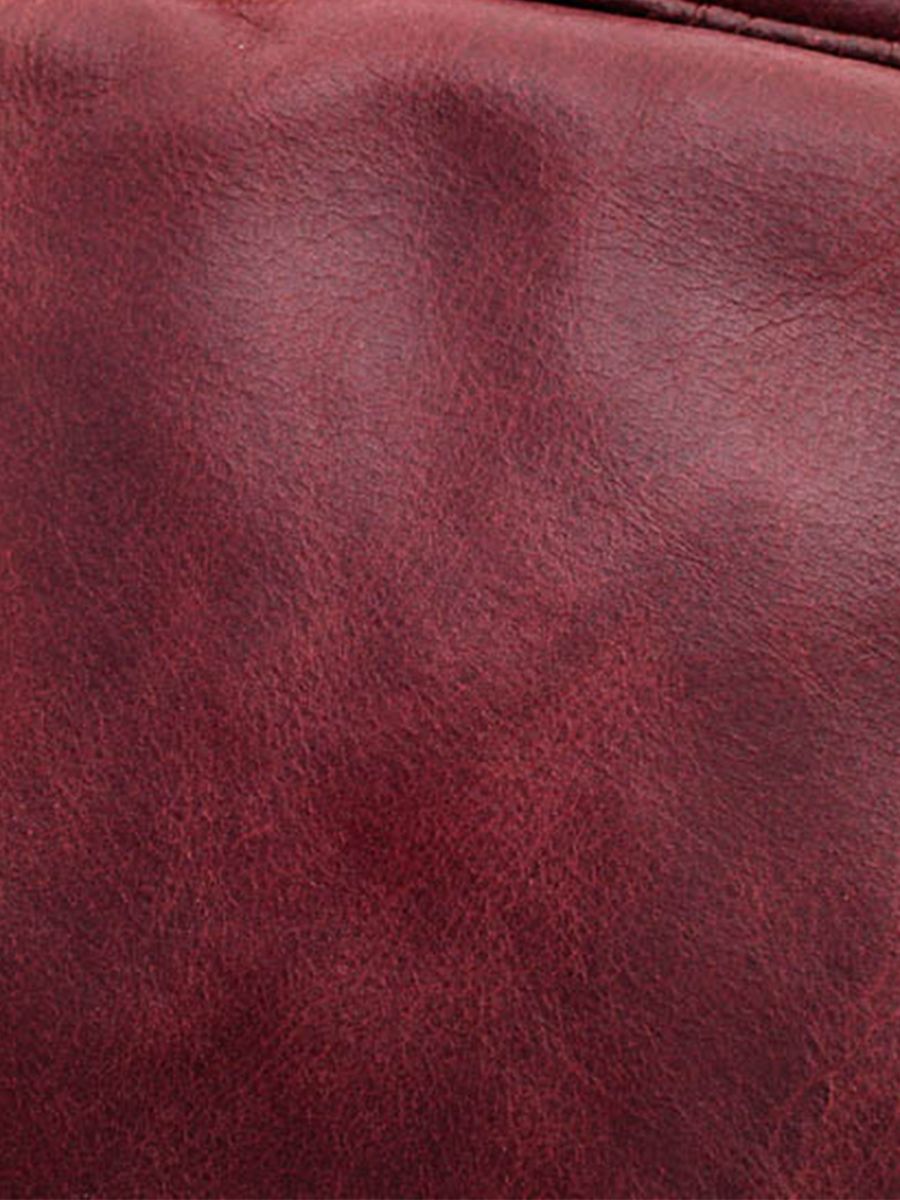 Foto-Material-Rucksack-aus-braunem-Leder-LeMariol-braun-Paul-Marius-M200-MB