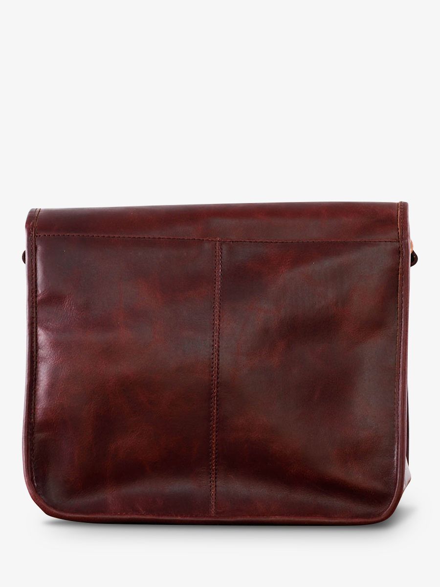 Foto-Rückansicht-Business-Arbeitstasche-schwarz-LeMessager-M-Indus-Paul-Marius-M11S14-D